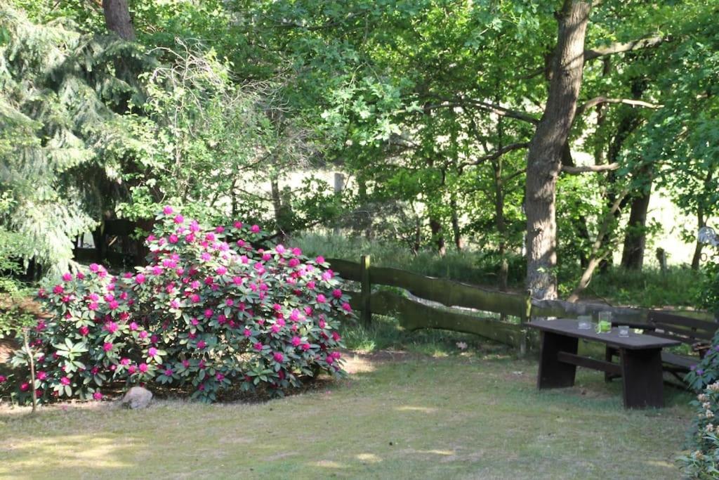 Ferienhaus Am Waldesrand Hatten 외부 사진