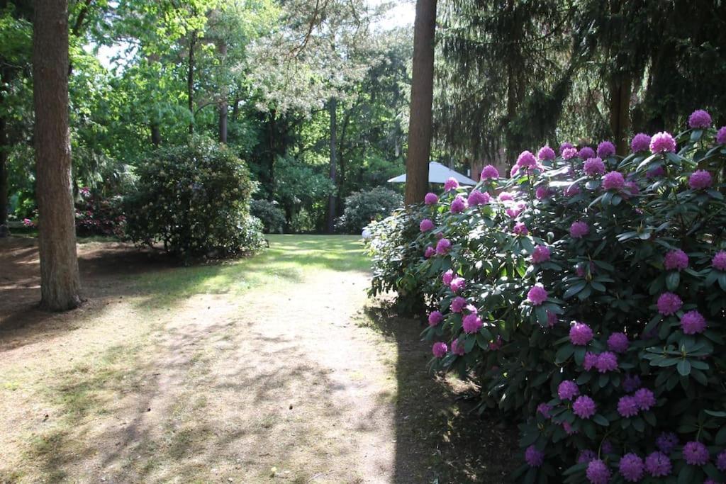 Ferienhaus Am Waldesrand Hatten 외부 사진
