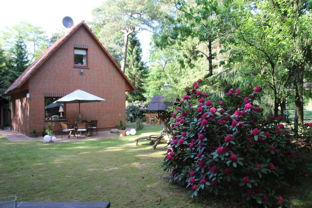 Ferienhaus Am Waldesrand Hatten 외부 사진